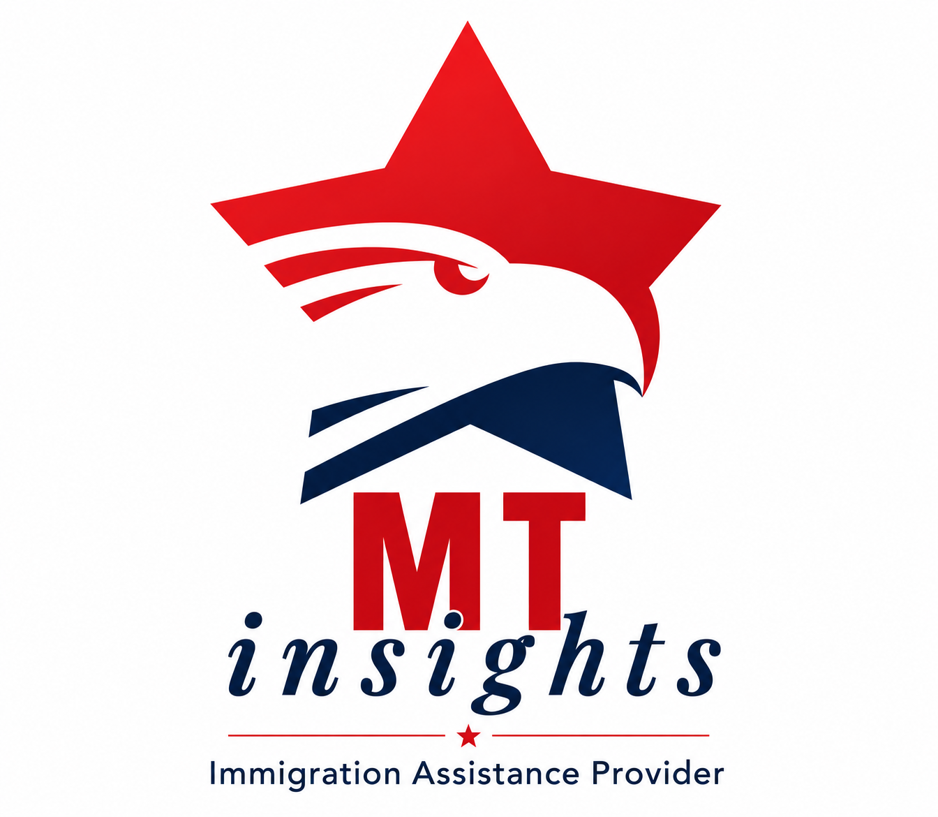 MT Insights Inc.